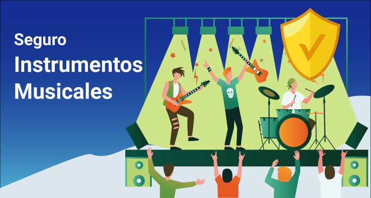 Seguro Instrumentos Musicales