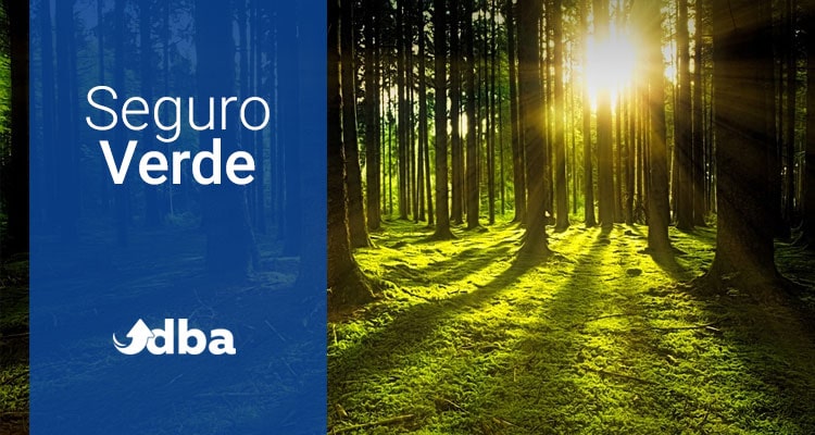Seguro Verde