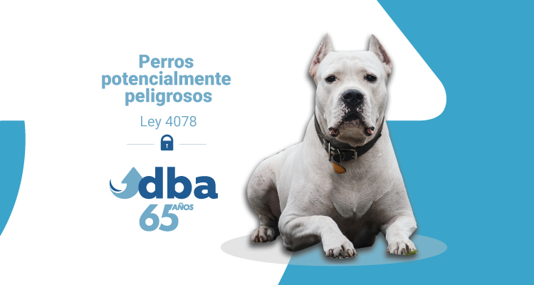 Perros potencialmente peligrosos